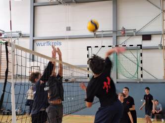 Stadtfinale Volleyball am 14.11.2023